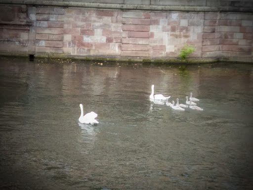 Sur les quais Martin