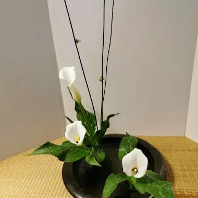 Arts japonais Haguenau