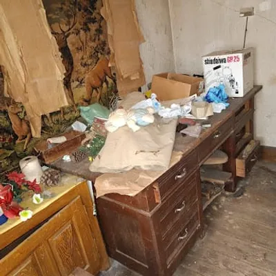 AS HYGIÈNE MULTISERVICES