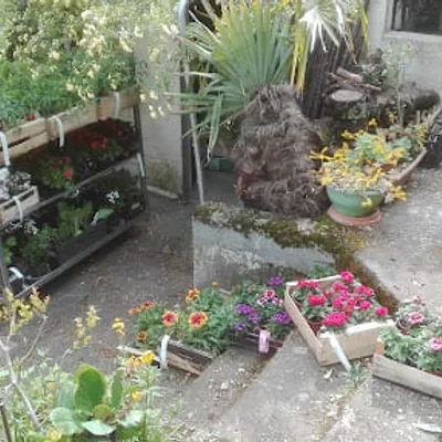 Barthes Guillaume Micropépinière - Entreprise individuelle (EI) - Nom commercial : Les jardins écolos
