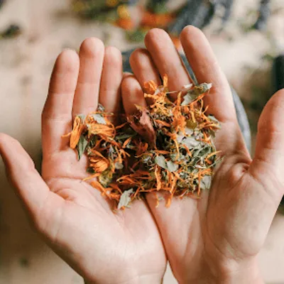Ambre Verdon, naturopathe et réflexologue à toulouse