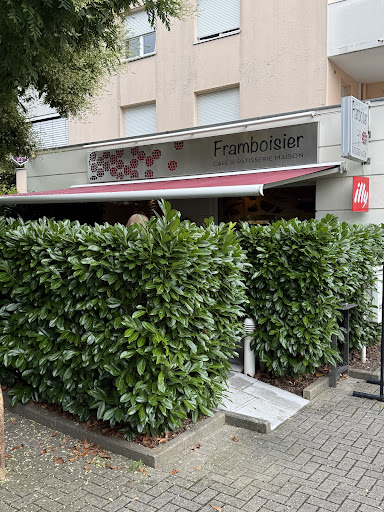 FRAMBOISIER