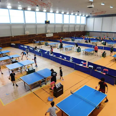 Amicale Lunévilloise de Tennis de Table