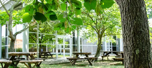 Arseaa | Cuisine Centrale