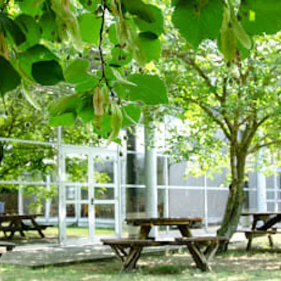 Arseaa | Cuisine Centrale