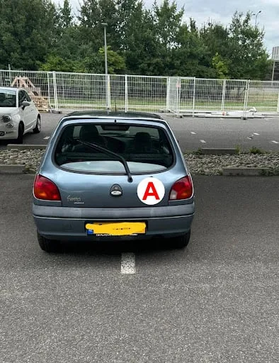 Alvaro McQueen driving school
