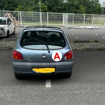 Alvaro McQueen driving school
