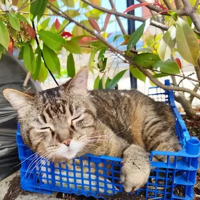 AlexSitting31
