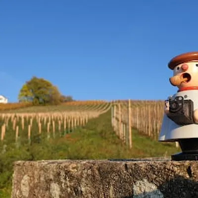 Domaine Willm