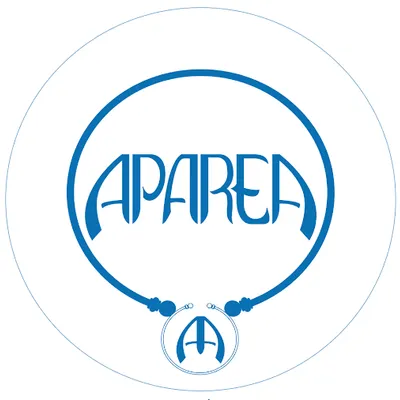 Association d'Action de Promotion et d'Aide à la Recherche En Archéologie (APAREA)