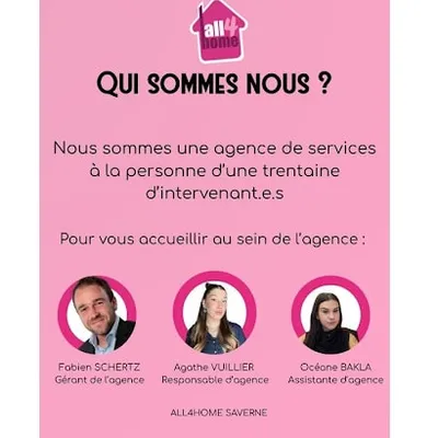 All4home Saverne - Service Household Ironing À Domicile