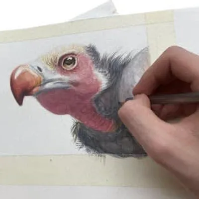 Art Action