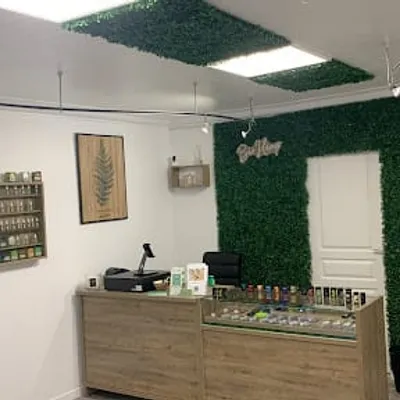 Bio HEMP CBD Schirmeck