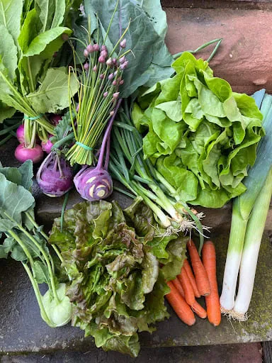 AMAP Collectif potagers d’Ingwiller