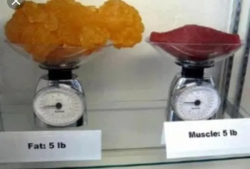 A Toutes Formes - Nutrition