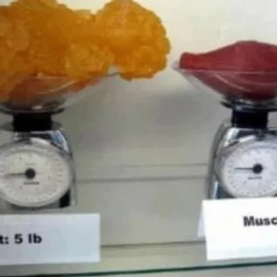 A Toutes Formes - Nutrition