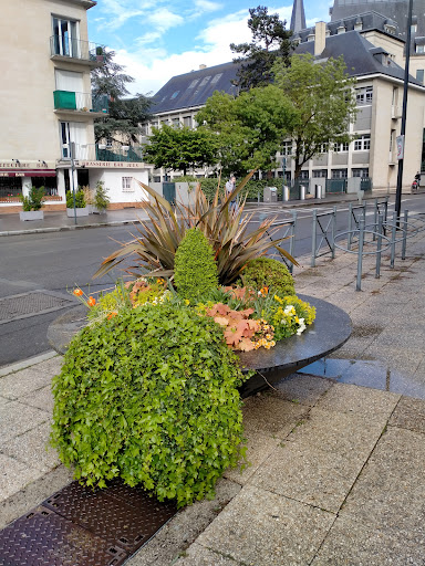 Le Diplomate