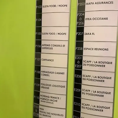 Artémis Conseils Et Expertises Toulouse