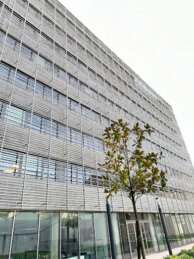 Avocat Droit des affaires | Avocat Toulouse - BANGOURA Avocat