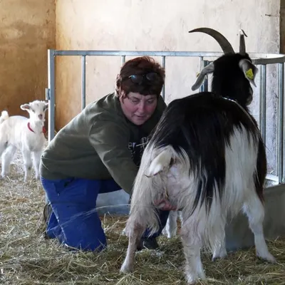 La Bergerie des Amandiers