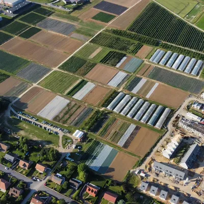 La cueillette de Beaurains Chapeau de Paille