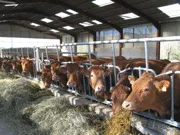 FERME DES MOULINETS