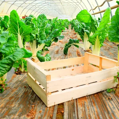 LA FERME DES BLANCS