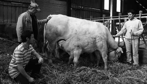 GAEC La ferme de Rémy