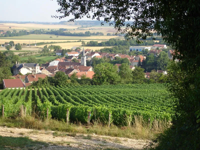 Le Muid Montsaugeonnais