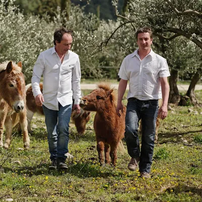 Domaine de L'Oulivie