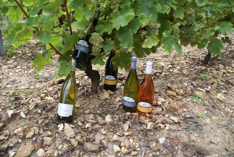 DOMAINE DE L'EPINEAU