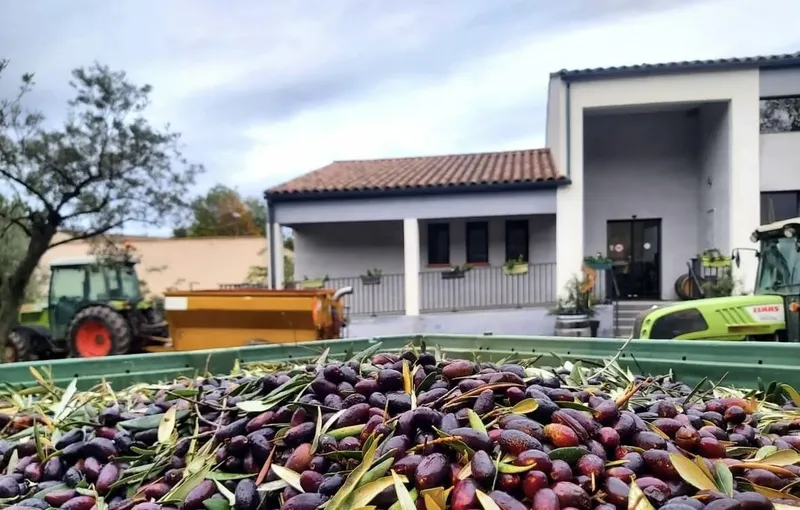 Domaine des Pères