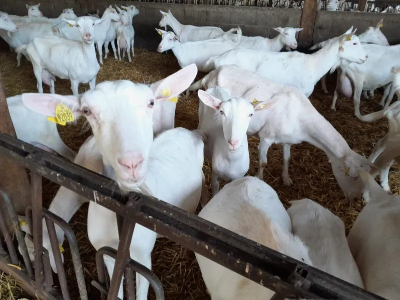 Ferme la Grand'Lande
