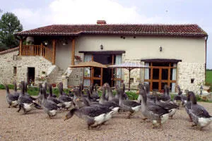 Ferme de l'Estre