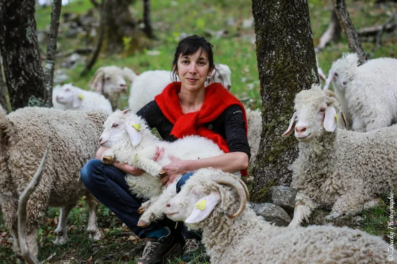 Les Moulis - Mohair Pyrénées