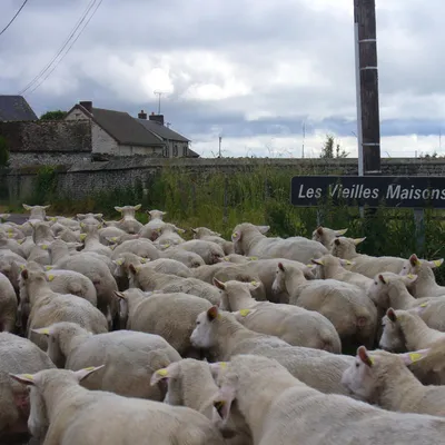 Ferme des Vieilles Maisons