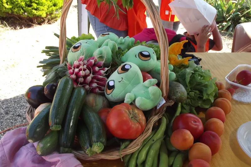 Du jardin à votre assiette