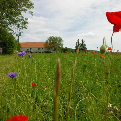 La Ferme de la Genevroye