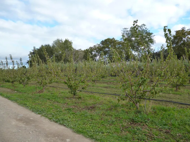 les Vergers des Cabanes