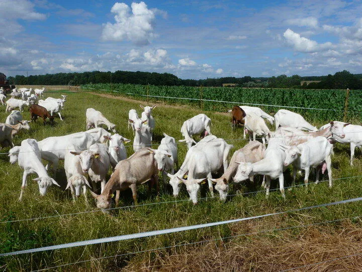 Ferme du Champ de l'Etang