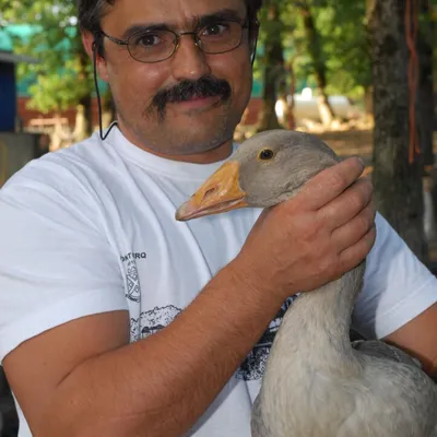 Foie Gras Robert