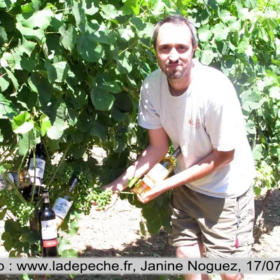 Domaine les Pyrénéales