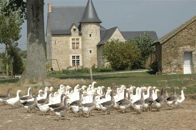 Le Logis du Plessis