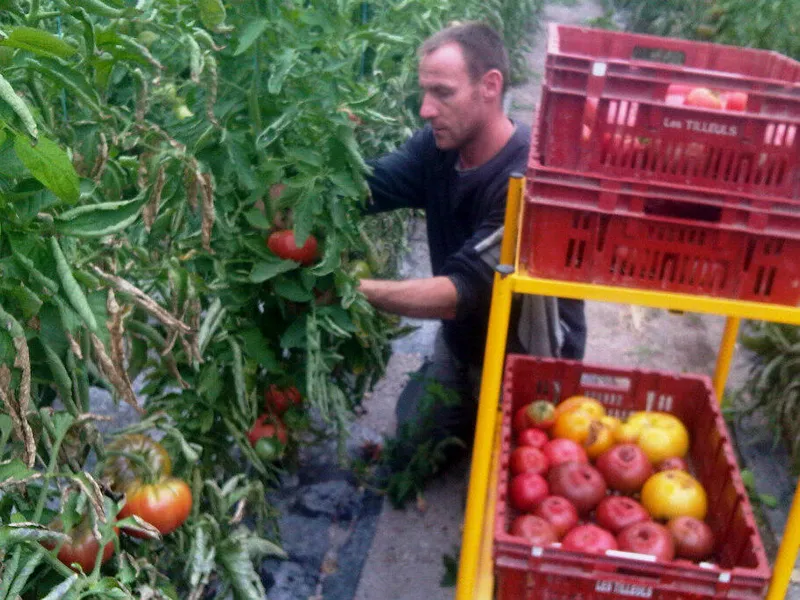 Les Légumes de Rudy
