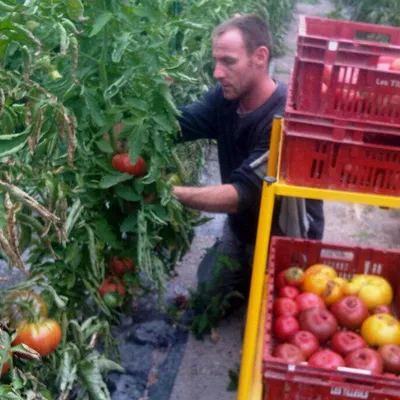 Les Légumes de Rudy