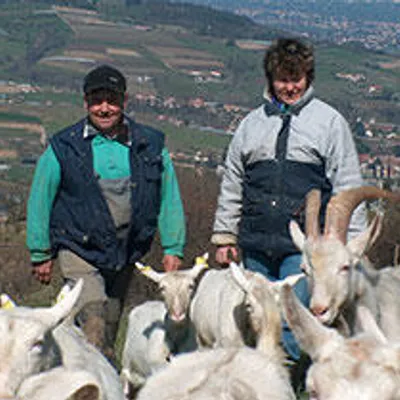 GAEC Joëlle et Thierry Guillon