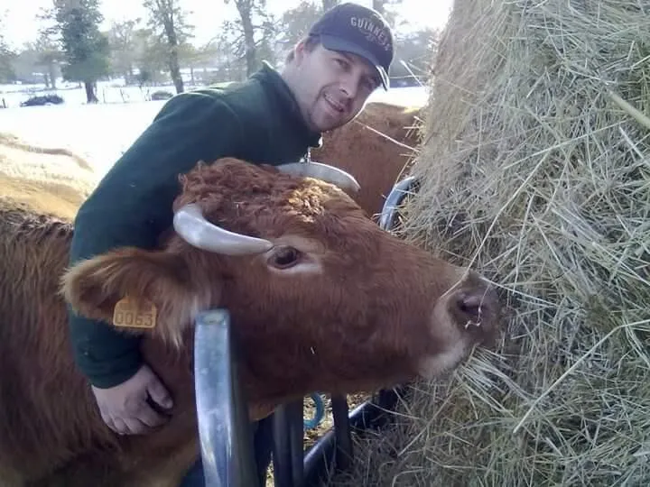 La petite vache rouge