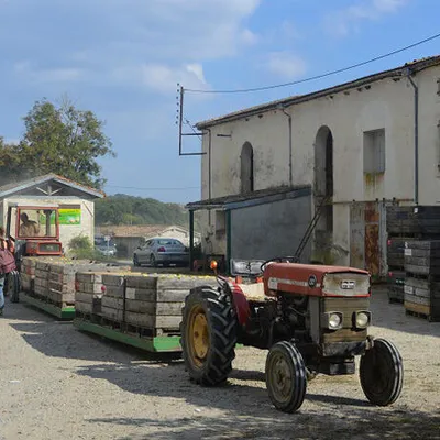 Domaine du Bedou