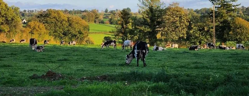 Naturellement Normande