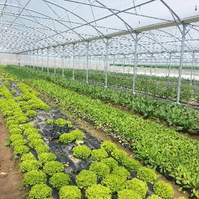 Les Jardins de Mareuil